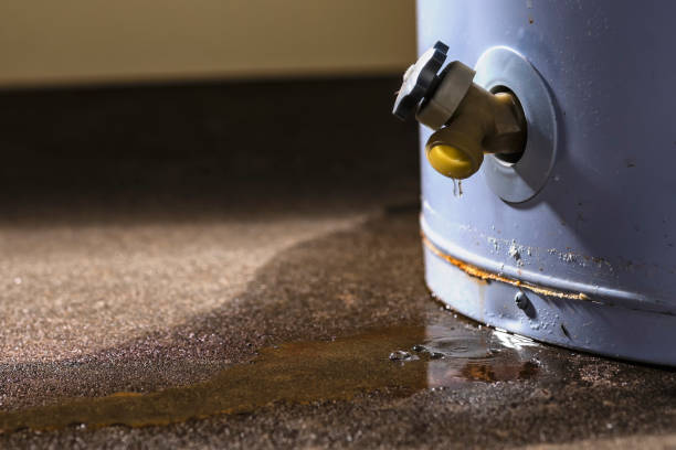 Best 24-hour water damage restoration  in Baldwin City, KS