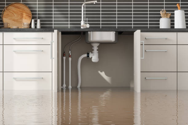 Best Carpet water damage restoration  in Baldwin City, KS