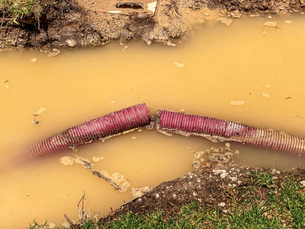 Best Sewage cleanup and water damage restoration  in Baldwin City, KS