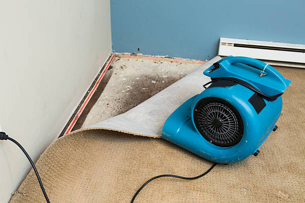 Best Water damage restoration near me  in Baldwin City, KS